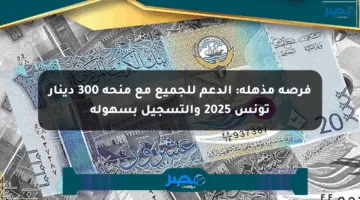 فرصة مذهلة: الدعم للجميع مع منحة 300 دينار تونس 2025 والتسجيل بسهولة